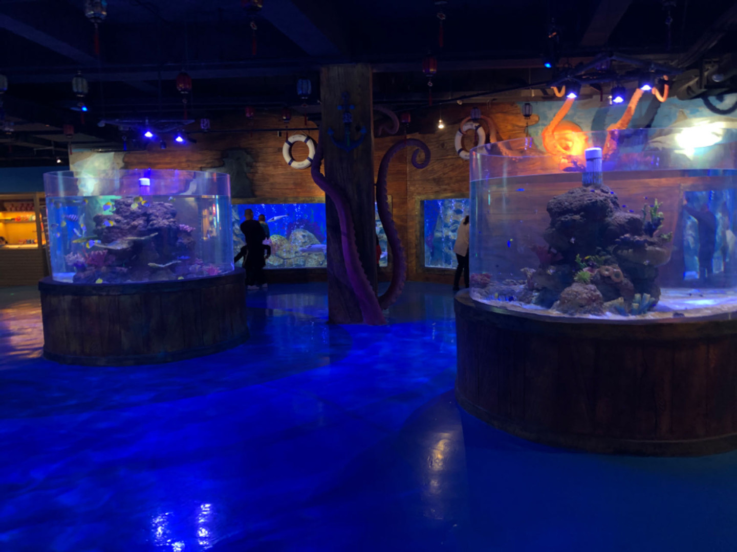 Einführung des Acryl -Fischtank -Lebensunterstützungssystems